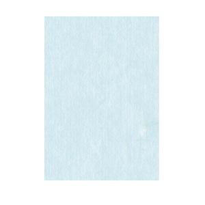 VANCO バンコ 和紙 大礼紙 薄浅黄 A4 10枚入 53238