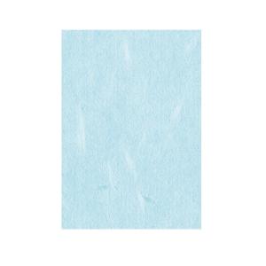 VANCO バンコ 和紙 大礼紙 水色 A4 10枚入 53239