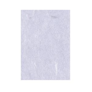 VANCO バンコ 和紙 大礼紙 藤 A4 10枚入 53241