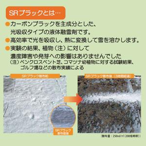 呉竹 液体融雪剤 クレタケ SRブラック 18...の詳細画像2