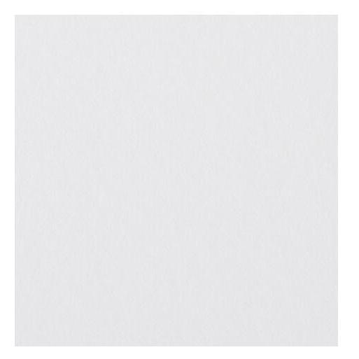 ミューズ 美術用紙 画用紙 白象画学紙 特厚口 B5規格 80枚 C