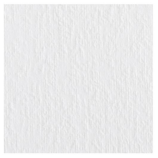 ミューズ 美術用紙 画用紙 ニューキャンバスペーパー 245g A4規格 50枚 C