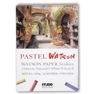 ウィンザー&ニュートン（WINSOR&NEWTON） W&N デザイナーズ ガッシュ