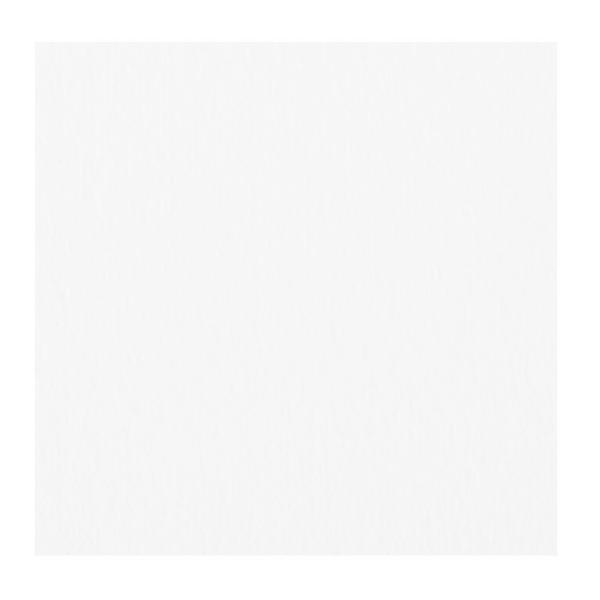 ミューズ 美術用紙 水彩紙 タッチII 特厚口 230g B5規格 80枚 C