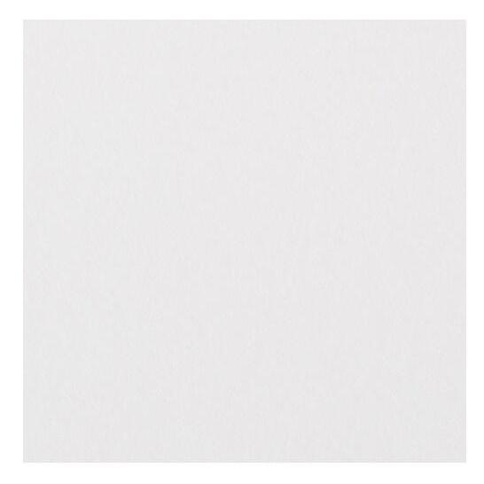 ミューズ 美術用紙 画用紙 ニューTMKポスター 厚口 207g B5規格 80枚 C