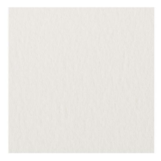 ミューズ 美術用紙 水彩紙 ワトソン 239g 特厚口 F8 20枚 C