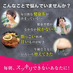 ドッサリズム お茶 無添加 無香料 無着色 カ...の詳細画像5
