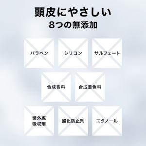 トリートメント コンディショナー メンズ リン...の詳細画像5