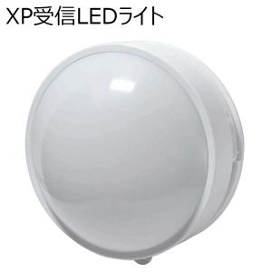 5ヶ所携帯受信チャイム　XP300　受信機　REVEX　ワイヤレスチャイムXPシリーズ｜wowsystem