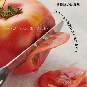 ARCOS アルコス テーブルナイフ ロング ...の詳細画像4