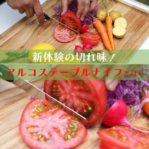ARCOS アルコス テーブルナイフ 10cm...の詳細画像2