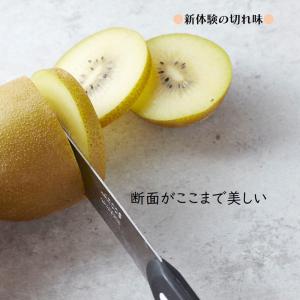 ARCOS アルコス テーブルナイフ 10cm...の詳細画像5