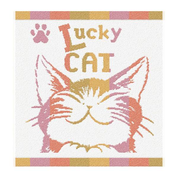 縞立てＷ／Ｔ　うんのいいねこ   わちふぃーるどダヤン ネコ