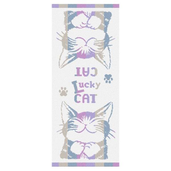 縞立てＦ／Ｔ　うんのいいねこ・青系　わちふぃーるどダヤン