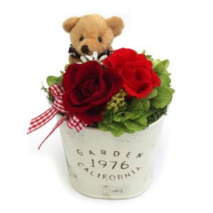 母の日 かわいい プリザーブドフラワー ローズ フラワーアレンジ プレゼント ギフト 薔薇 バラ 「 アンディ 」 レッド｜wraf