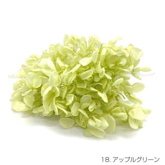 即日出荷 プリザーブドフラワー 花材 20g アップルグリーン アジサイ あじさい 紫陽花 ピラミッ...