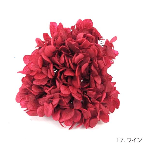 即日出荷 プリザーブドフラワー 花材 20g ワイン アジサイ あじさい 紫陽花 ピラミッドアジサイ...