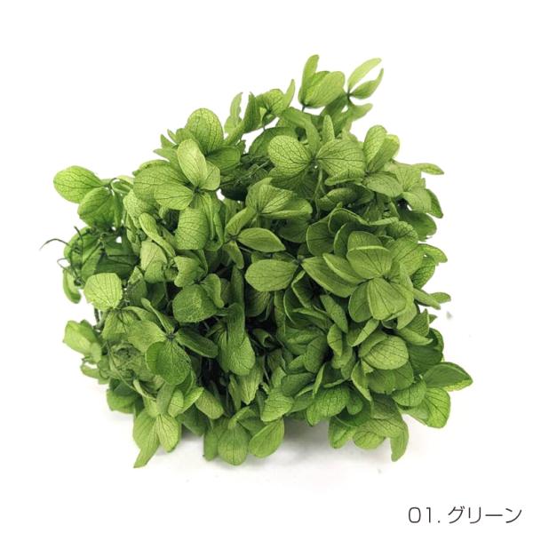 即日出荷 プリザーブドフラワー 花材 20g グリーン アジサイ あじさい 紫陽花 ピラミッドアジサ...