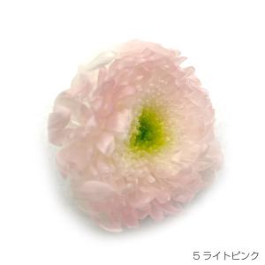 即日出荷 プリザーブドフラワー 花材 9輪 ライトピンク 菊 キク 花 仏花 プリザ グラデーションマムこまち｜wraf