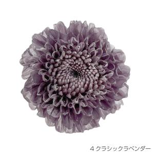 即日出荷 プリザーブドフラワー 花材 9輪 ラベンダー 菊 キク プレゼント ギフト 花 仏花 贈り物 誕生日 お祝い プリザ 丸い花 クラシックマムカレン｜wraf