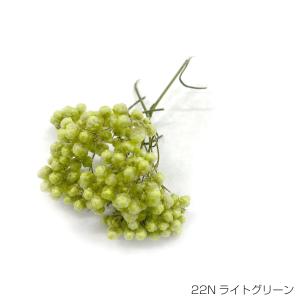 即日出荷 プリザーブドフラワー 花材 50g ライトグリーン ギフト 花 贈り物 誕生日 お祝い プリザ ナチュラル ライスフラワー｜wraf