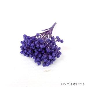 即日出荷 プリザーブドフラワー 花材 50g バイオレット ギフト 花 贈り物 誕生日 お祝い プリザ パステル ライスフラワー｜wraf