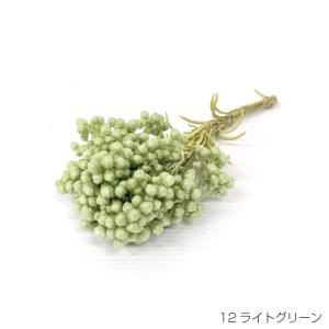 即日出荷 プリザーブドフラワー 花材 50g ライトグリーン ギフト 花 贈り物 誕生日 お祝い プリザ パステル ライスフラワー｜wraf