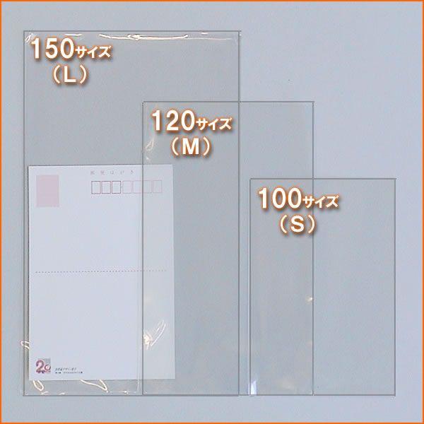 クリア　L　100