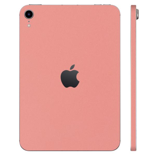 iPad mini (A17 Pro) / mini6 第6世代 スキンシール ケース カバー フィ...