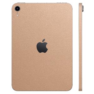 iPad mini6 第6世代 スキンシール ケース カバー フィルム 背面 wraplus ゴールド｜wraplus