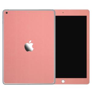 iPad 第9世代 第8世代 第7世代 第6世代 第5世代 スキンシール ケース カバー フィルム 背面 wraplus 選べる34色 サーモンピンク｜wraplus