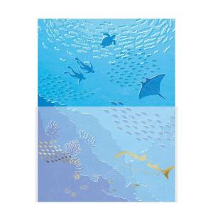レターセット 包む 封筒が透ける景色のレター 海と魚たち TL065｜wrappingclub1