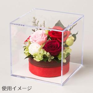 コレクション ディスプレイ フィギュア 人形 ...の詳細画像1