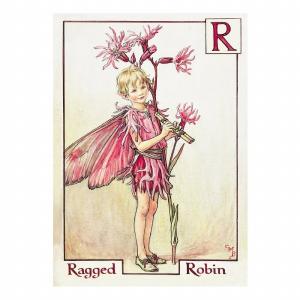 ポストカード グリーンフラッシュ GreenFlash  FLOWER FAIRIES FF-030 The Ragged Robin Fairy