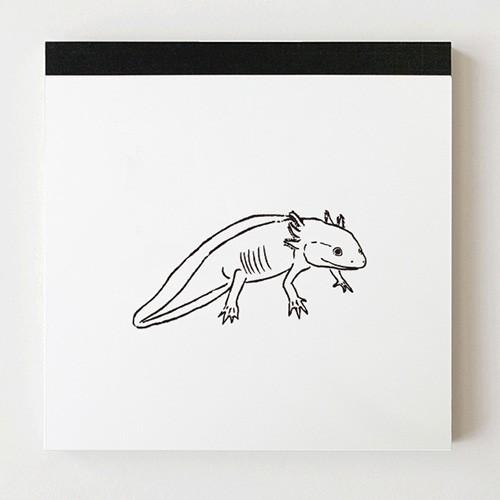 メモパッド・スクエア  グリーンフラッシュ GreenFlash Animal Series GF-...