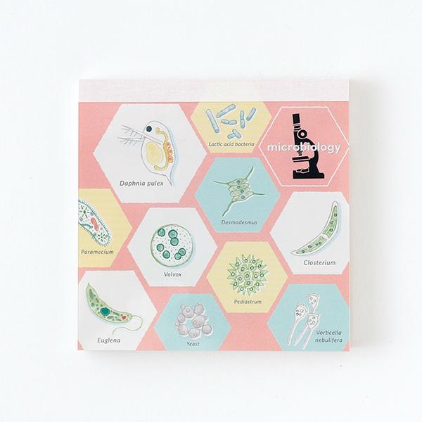 メモパッド・スクエア グリーンフラッシュ GreenFlash STUDY HOLIC (微生物学)...