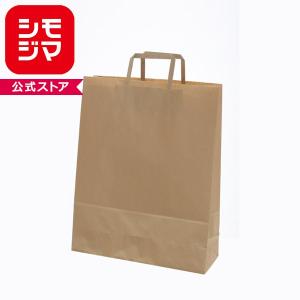 ネコポス速達！イグニス IGNIS ignis 純正 正規ショッパー（中/Mサイズ