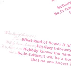 ラッピングペーパー OPPグレース ピンク 1本