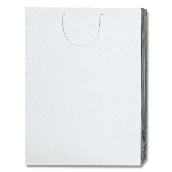 シモジマ 紙袋 ブライトバッグ ＰＢ−ＫＡ 白
