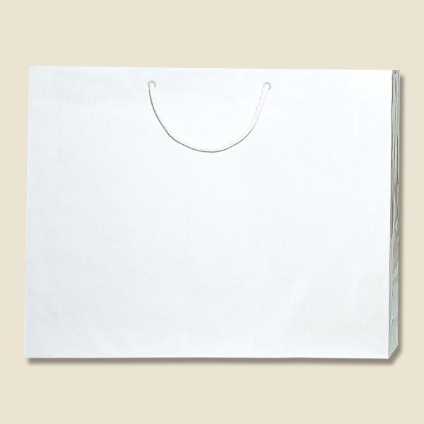 シモジマ 紙袋 ブライトバッグ ＰＢ−Ｌ 白