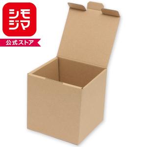 専用箱無し 箱 ナチュラルボックス Z-1 無地 10枚 シモジマ HEIKO ギフトボックス