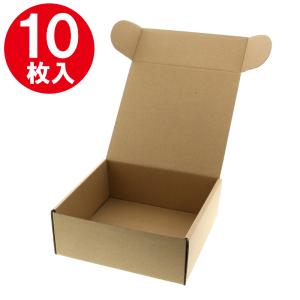 箱無し専用ページREVI 10枚入り　箱有りは11700円 箱無し専用ページREVI 10枚入り 箱有りは11700円 箱無し専用