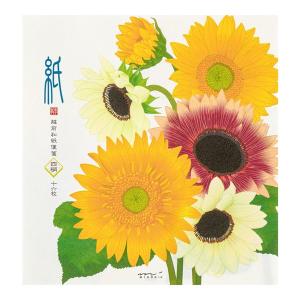 春レター 一筆箋602 シルク ネモフィラ柄 89602006 midori ミドリ 「紙