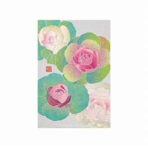 レター 手紙 midori ミドリ シリーズ 冬レター ポストカード665 葉牡丹柄 88665006