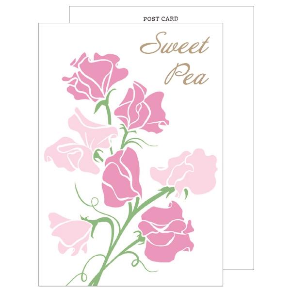 ポストカード クローズピン Clothes-Pin 春 活版印刷 スイートピー PC-97051 ハ...