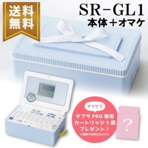 テプラ テプラ用 トリマー テープカットはさみ キングジム RT36W テプラ テプラ用 トリマー テープカットはさみ キングジム RT36W