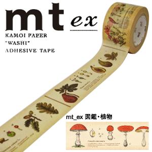マスキングテープ Mt Ex 1p 図鑑 植物 30mmｘ10m Mtex1p34 シモジマラッピング倶楽部 通販 Paypayモール