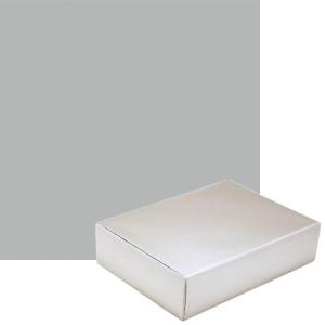 ササガワ 包装紙 50枚入  無地 スターシルバー  49-1211