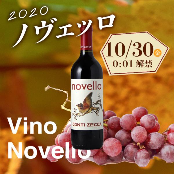 神の雫　本間チョースケ ノヴェッロ　赤ワイン