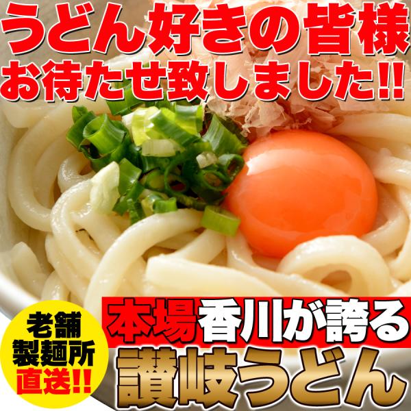 天然生活 讃岐うどん 6食分600g (300g×2袋) 鎌田醤油 特製ダシ醤油 6袋付 香川 本場...